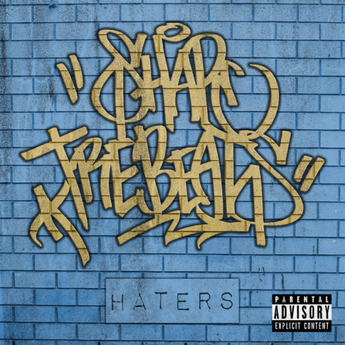 Shape & TReBeats - Haters | 2015