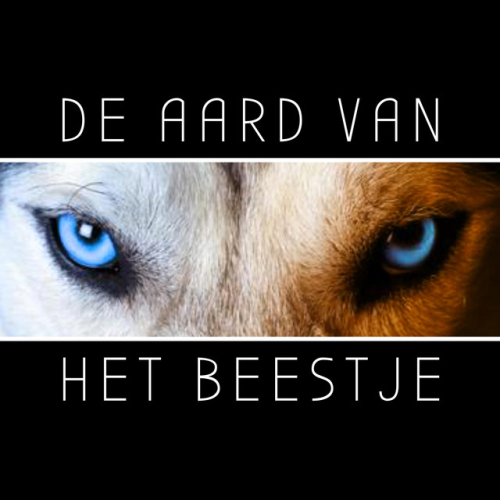 Vonk - De Aard Van Het Beestje | 2020